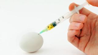 Как избежать синдрома гиперстимуляции яичников при ЭКО?