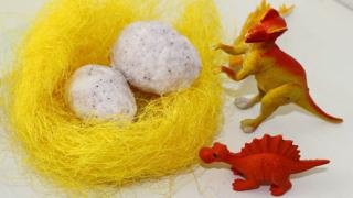 Динозавры вымерли?! Динозавры живы!!