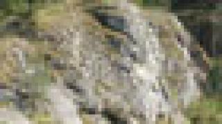 Река Реж. Село Мироново. Мантуров камень