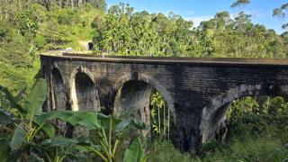 У нас нет дорог, у нас есть направления (с). Самостоятельное путешествие на Шри-Ланку