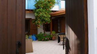 Весенний Кипр - лекарство для души