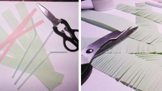 Веточка еловая