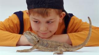 Питомца - в семью! Выбираем и сравниваем