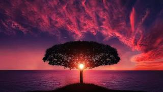 В каком месяце выгоднее брать отпуск в 2024 году и почему?