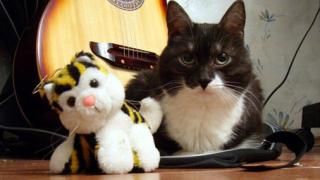 Барсик - восемнадцать лет вперед и вверх