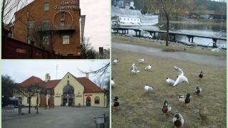 Том Титс – любителям экспериментов!