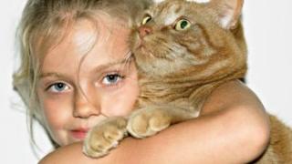 Прежде чем взять питомца в дом... Какое животное подходит аллергику?