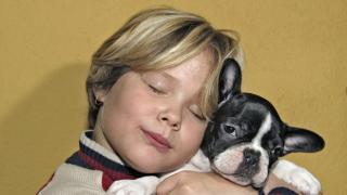 Болезни, передающиеся от собак человеку