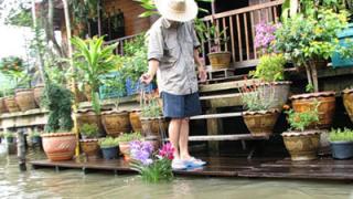 Садовник в отпуске... Как обеспечить полив комнатных растений в ваше отсутствие