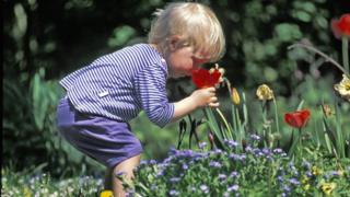 Что такое аллергия и почему нельзя шутить с крапивницей