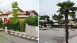 В Италию семьей с двумя детьми, бабушкой и племянницей