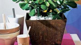 Деньги к деньгам