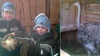 Турпоездка в город зеленого неба