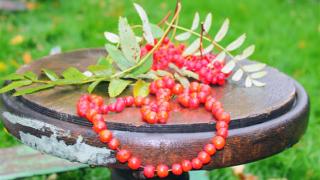 Осенние идеи для творчества с ребенком