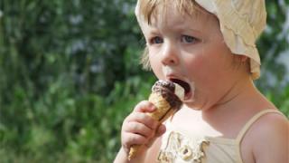 Путешествие в страну сладостей. Шоколад, зефир, мармелад, конфеты, мед