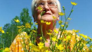 Читаем сочинения первоклашек. Тема: "Бабушка, родная, ты мне так нужна!"