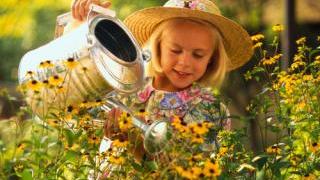 Цветы в детской комнате (полезности и опасности)...