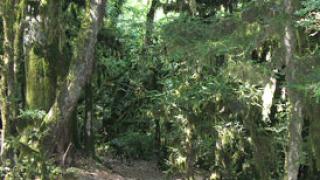 А вот, как мы открывали бархатный сезон в Адлере