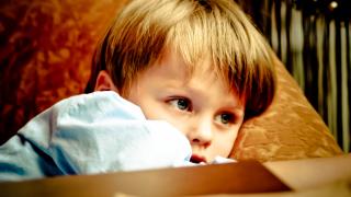 Кто такие тоддлеры и как понять, что этот возраст начался